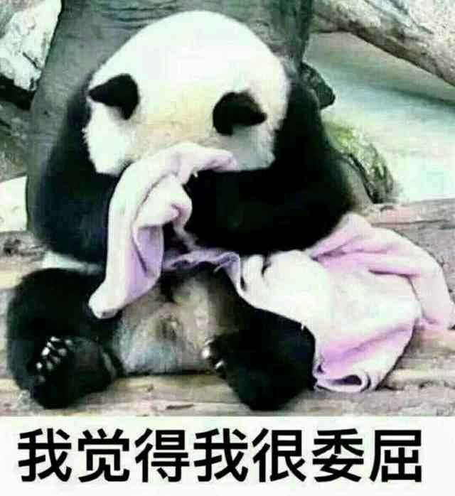 有没有让人笑到头掉的沙雕文案?