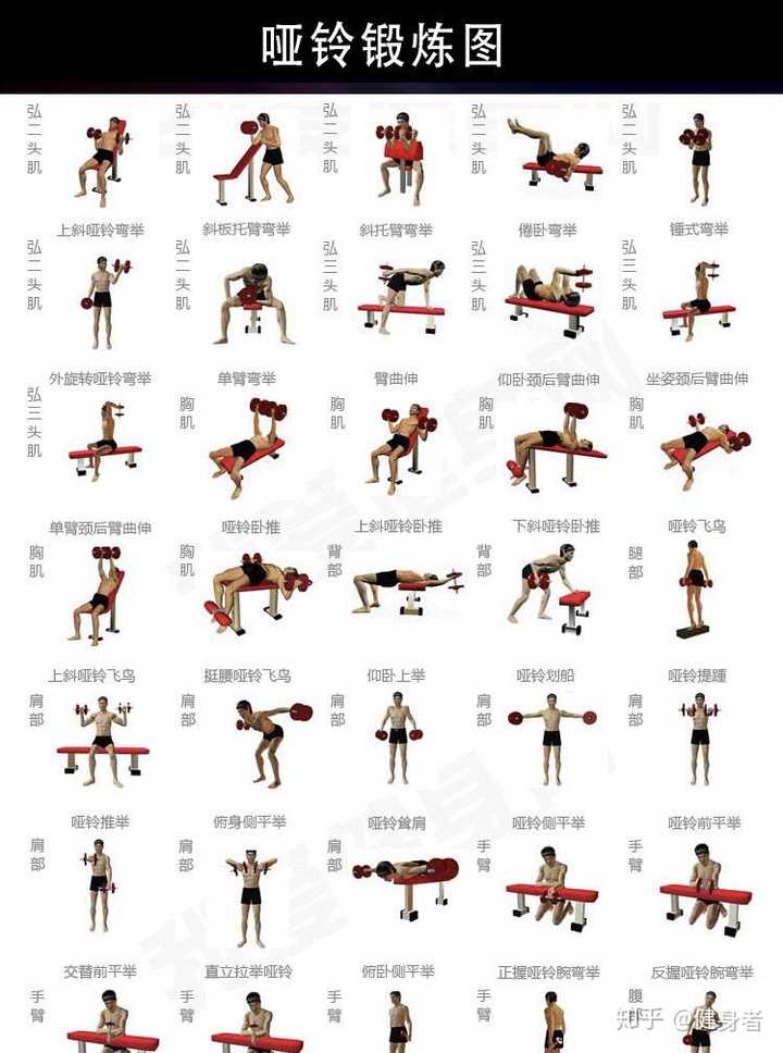 10个经典健身动作图片图片