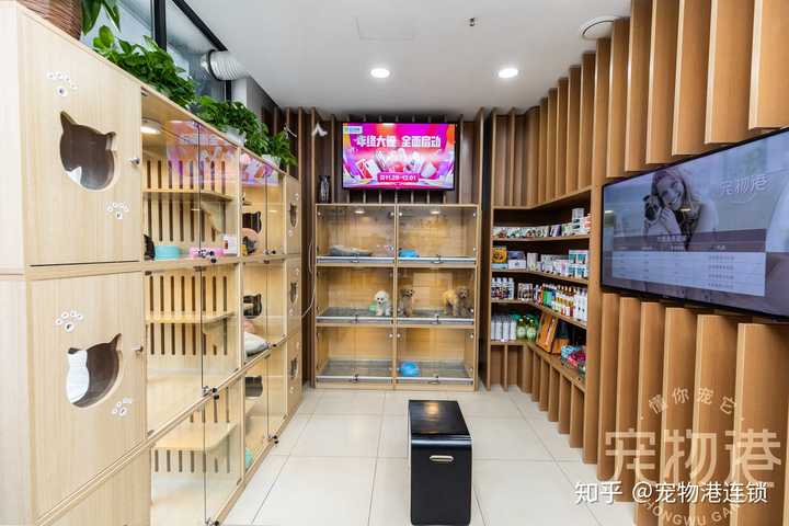 开宠物店需要什么（开宠物店需要什么资质）-第2张图片-潮百科