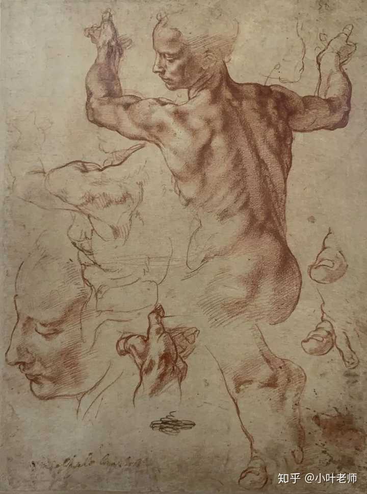 23 岁,无任何绘画基础,从头开始学素描的话该怎么自学?