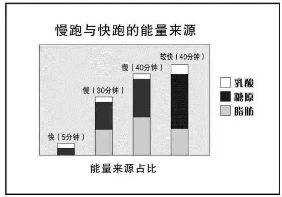 究竟多大的運動量,運動多久才開始消耗脂肪?