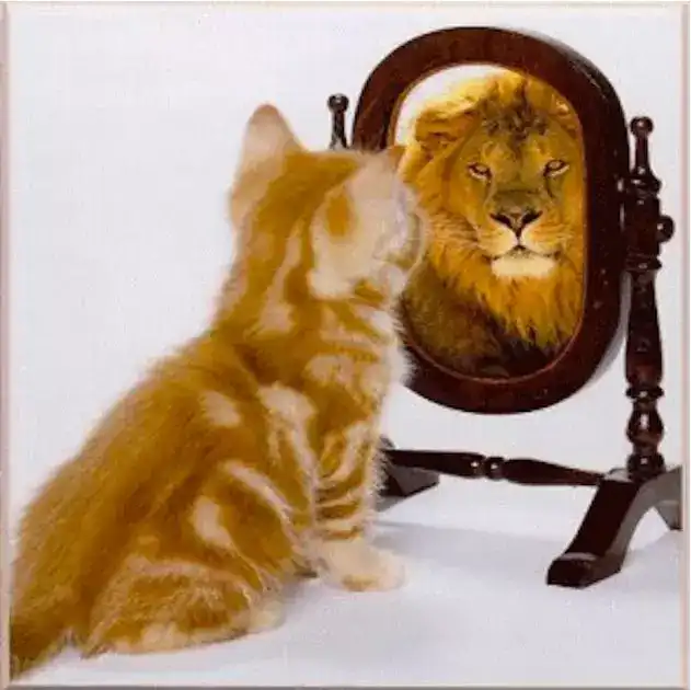 一只猫照镜子画老虎图片