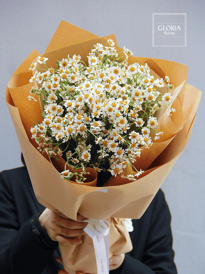 常见的花的花语是什么 知乎