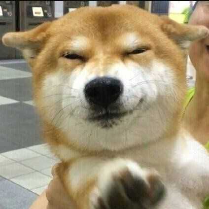 有哪些适合男孩子的微信头像?