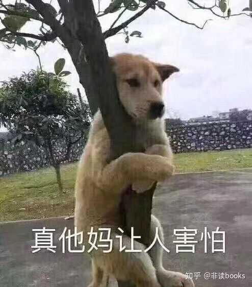 有哪些意难平的虐文 知乎