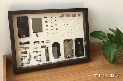 iphone4被制成标本售卖