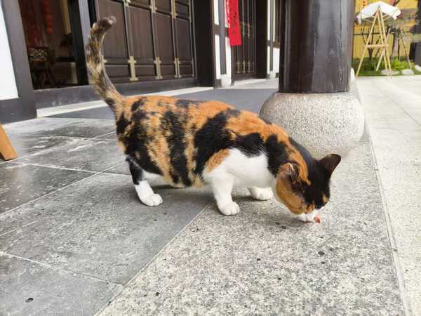 早晚通勤3小时，你能忍受继续吗？