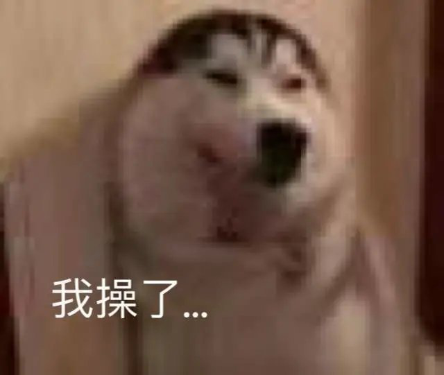 有哪些打王者用来怼人的句子?