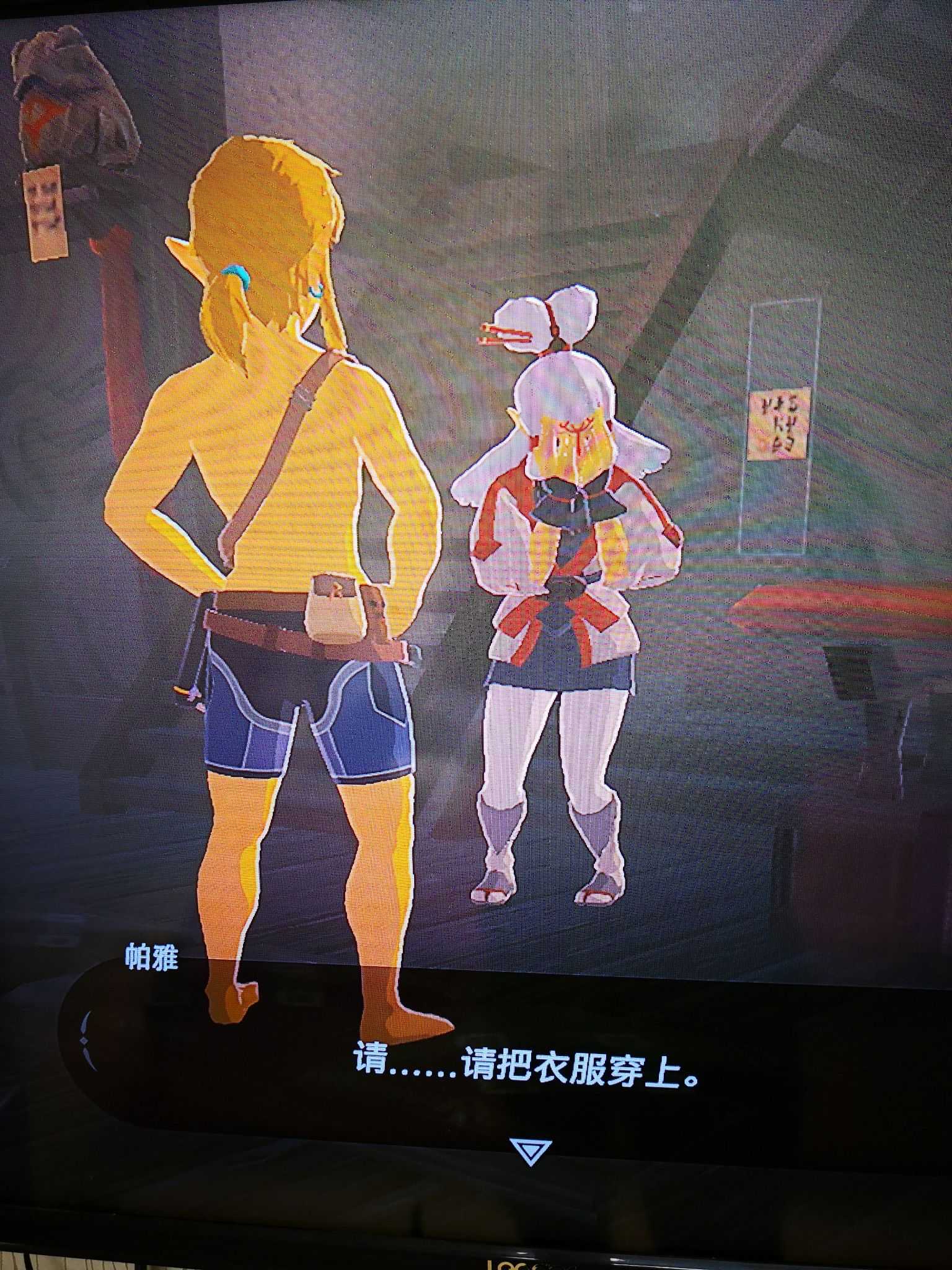 剧情是要林克去高台取20个电箭回来.