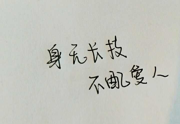 说几个让你感触最深的句子?