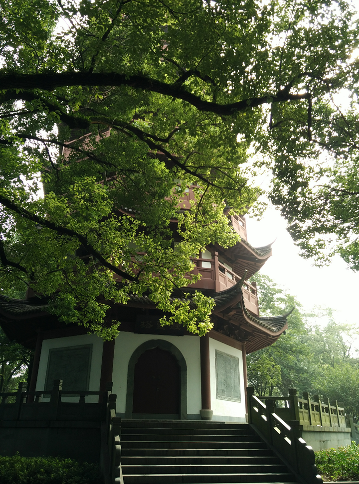 可能要去衢州工作了,请问这个城市怎么样?