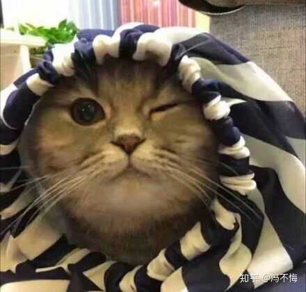 有没有关于冬天的文案?