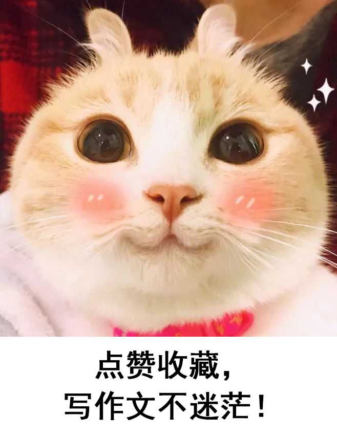 哪些句子可以用到作文里?