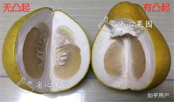 如何挑好的柚子？ - 知乎