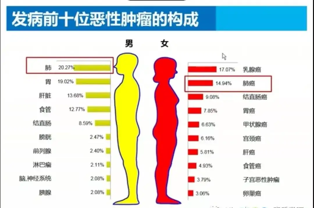 我国人口死亡原因_我国人口问题图片(3)