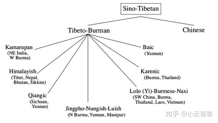 汉语在语言学谱系分类中处于一个怎样的地位?