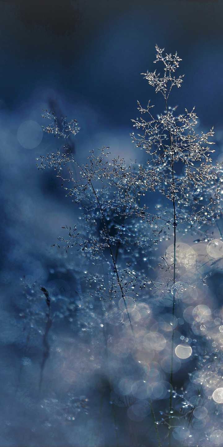 有没有…干净,清澈,明亮,简单,的手机壁纸? ?