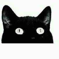 你知道哪些暴利的灰色产业?