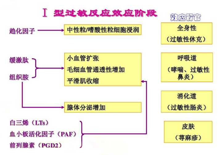 变态反应(过敏)有什么生理上和进化上的意义?