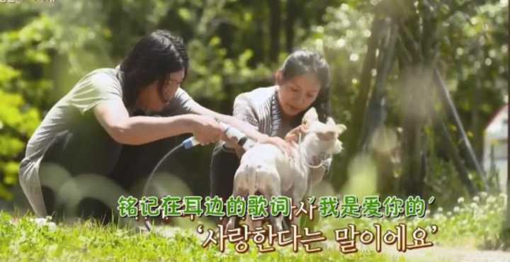 如何评价李孝利和她丈夫的综艺 孝利家民宿 知乎