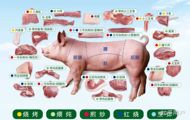 五花肉是猪的哪一块,跟里脊肉比价格怎么样? - 知乎