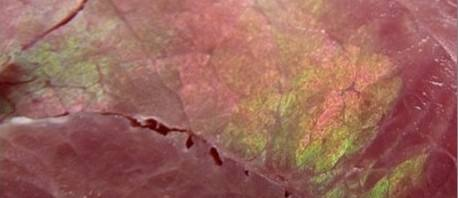 牛肉变绿属于正常现象吗?为什么会变绿呢?