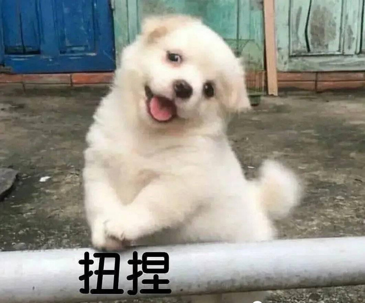 有什么可爱的文案?