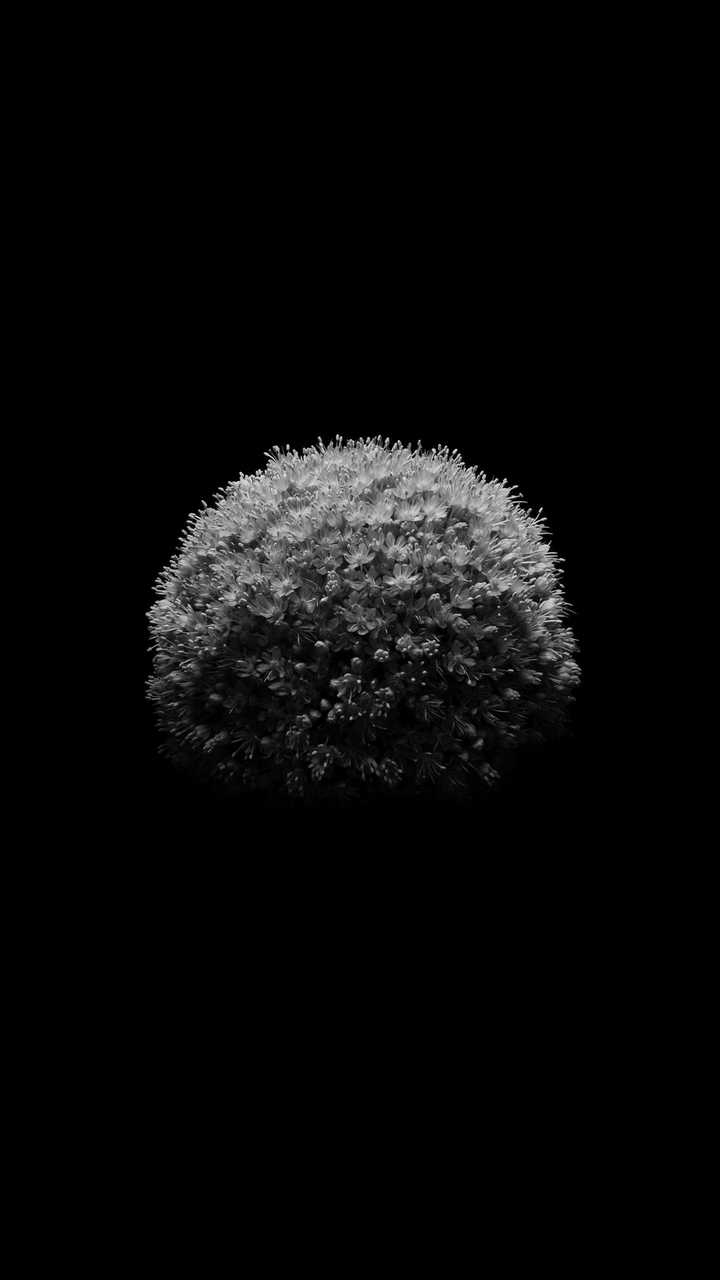 有哪些适合做手机壁纸的黑底色图片?