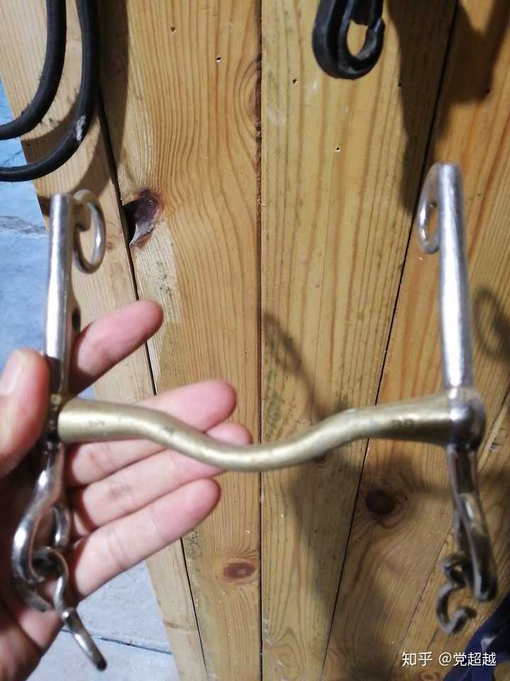 为什么马背上有污渍汗渍马被毛潮湿会引起鞍伤为什么马戴马嚼子才会让