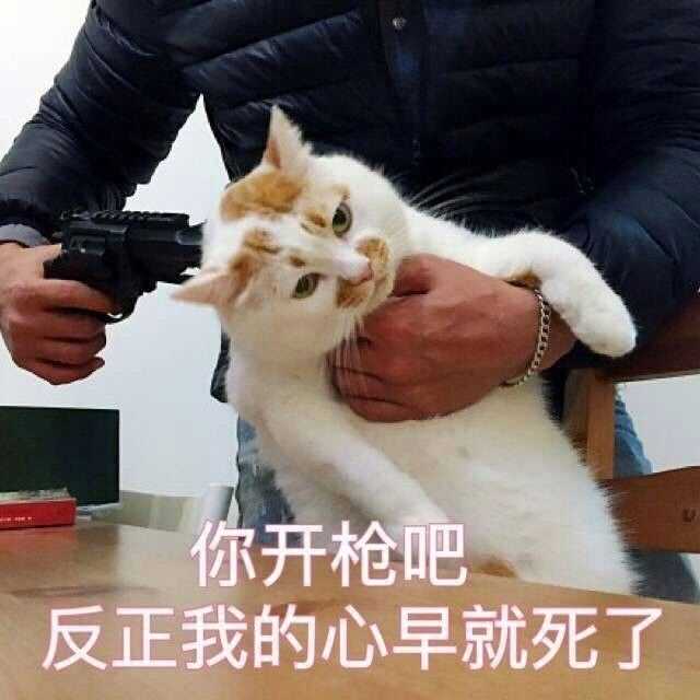 暗鲨名单表情包图片