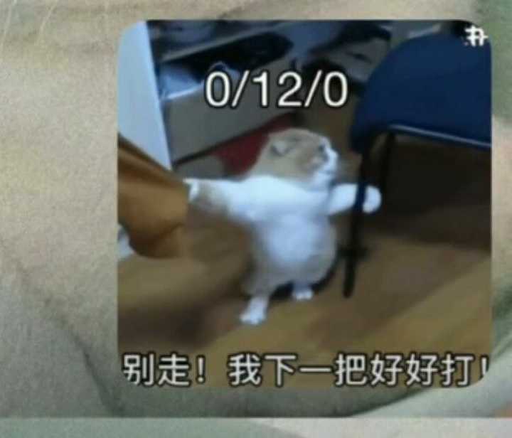 有哪些打王者用来怼人的句子?