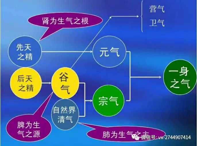 站桩能炼气化神吗
