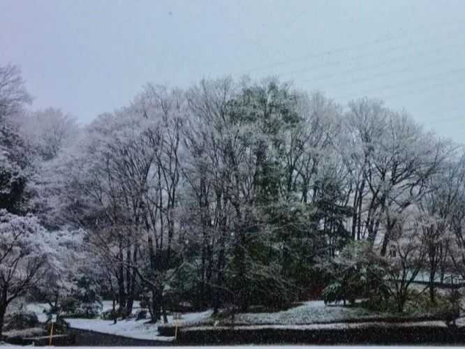 在日本的中央大学怎么样 就读是一种怎样的体验 知乎 在日本的中央大学怎么样 就读是一种怎样的体验 知乎