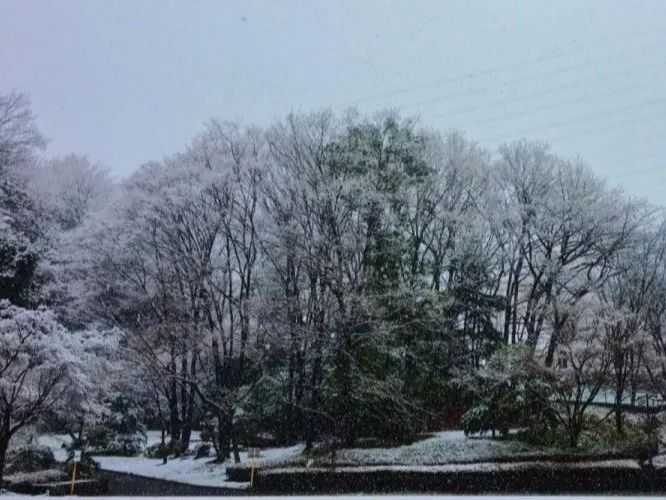 在日本的中央大学怎么样 就读是一种怎样的体验 知乎