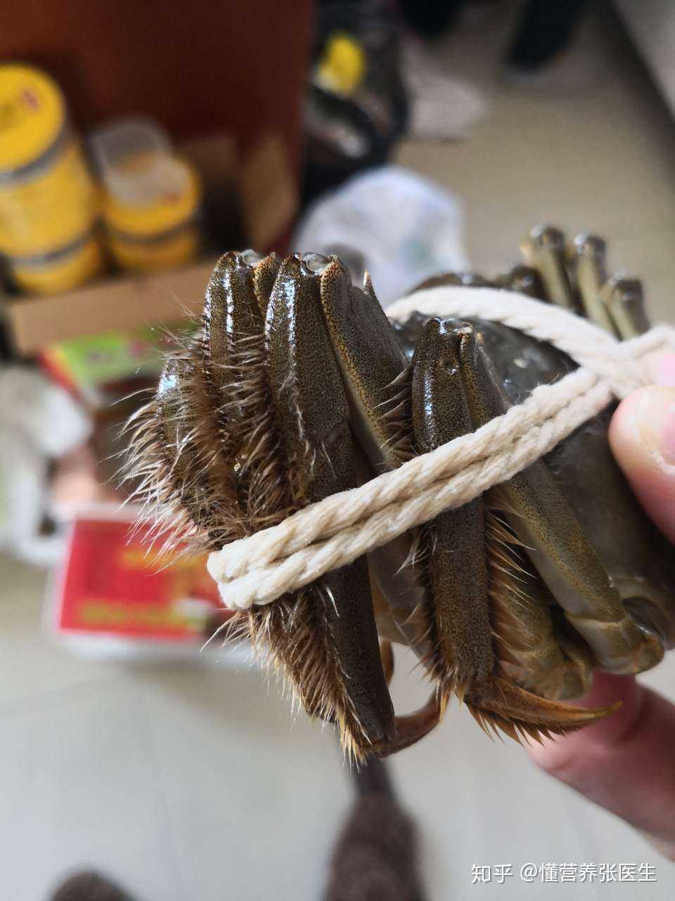 朋友说正宗阳澄湖大闸蟹要看蟹腿旁的毛,金色为佳.还有谁懂的?