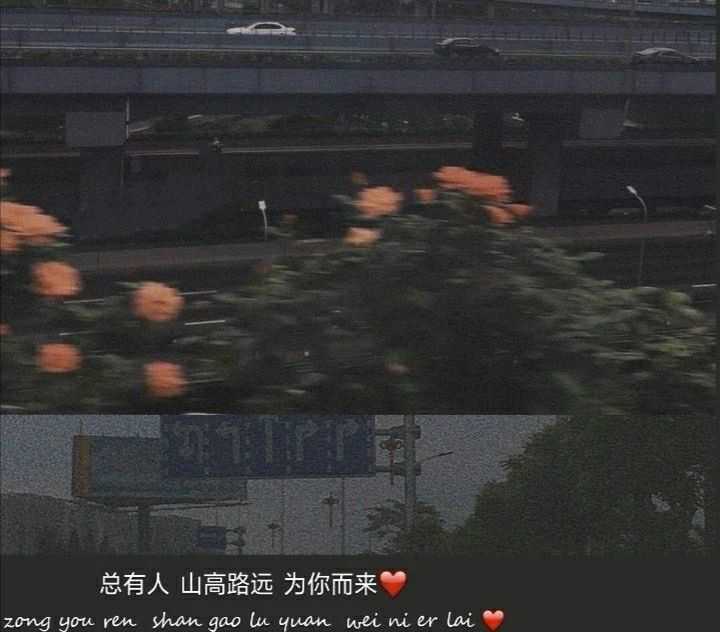 有没有小众一点的温柔情话?