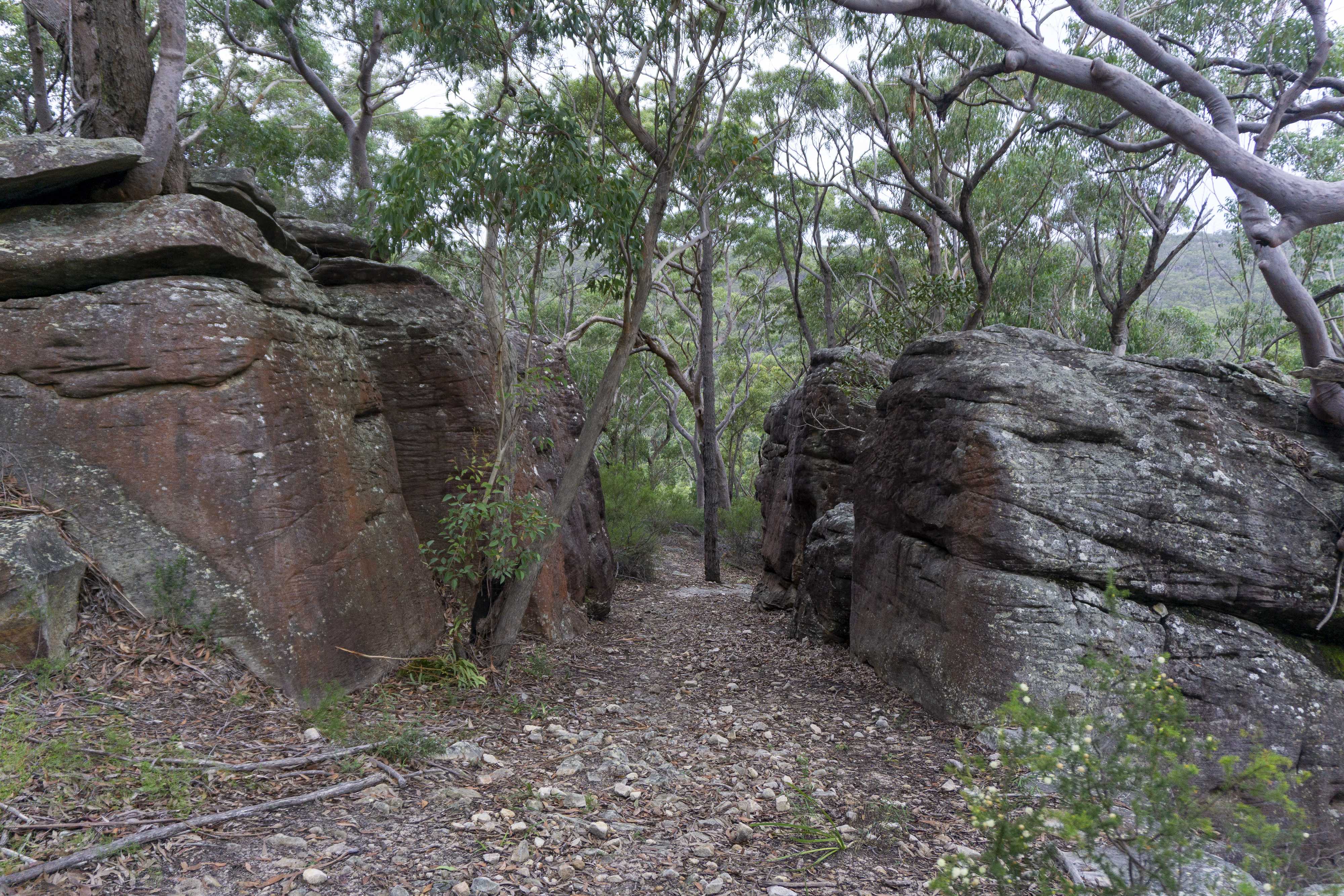 发布于 05-13夜骐之翼05-13阿尔贡越共森林