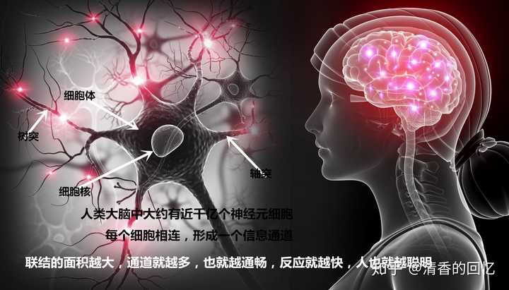 如何摆脱手脚不协调,反应迟钝,使自己变得手脚灵活敏捷,反应迅速呢?