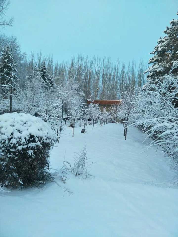 你无意拍摄的哪张照片让你瞬间觉得拍得很有意境?