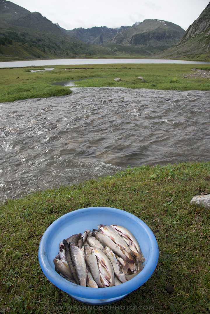 為什麼更多的驢友喜歡去西藏遠行,而不是新疆?