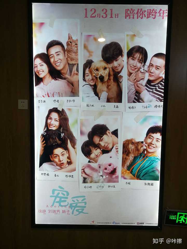 如何评价徐峥监制,杨子导演的电影《宠爱》?
