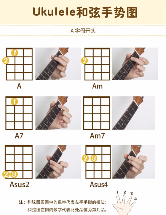 怎么样学习尤克里里最快?