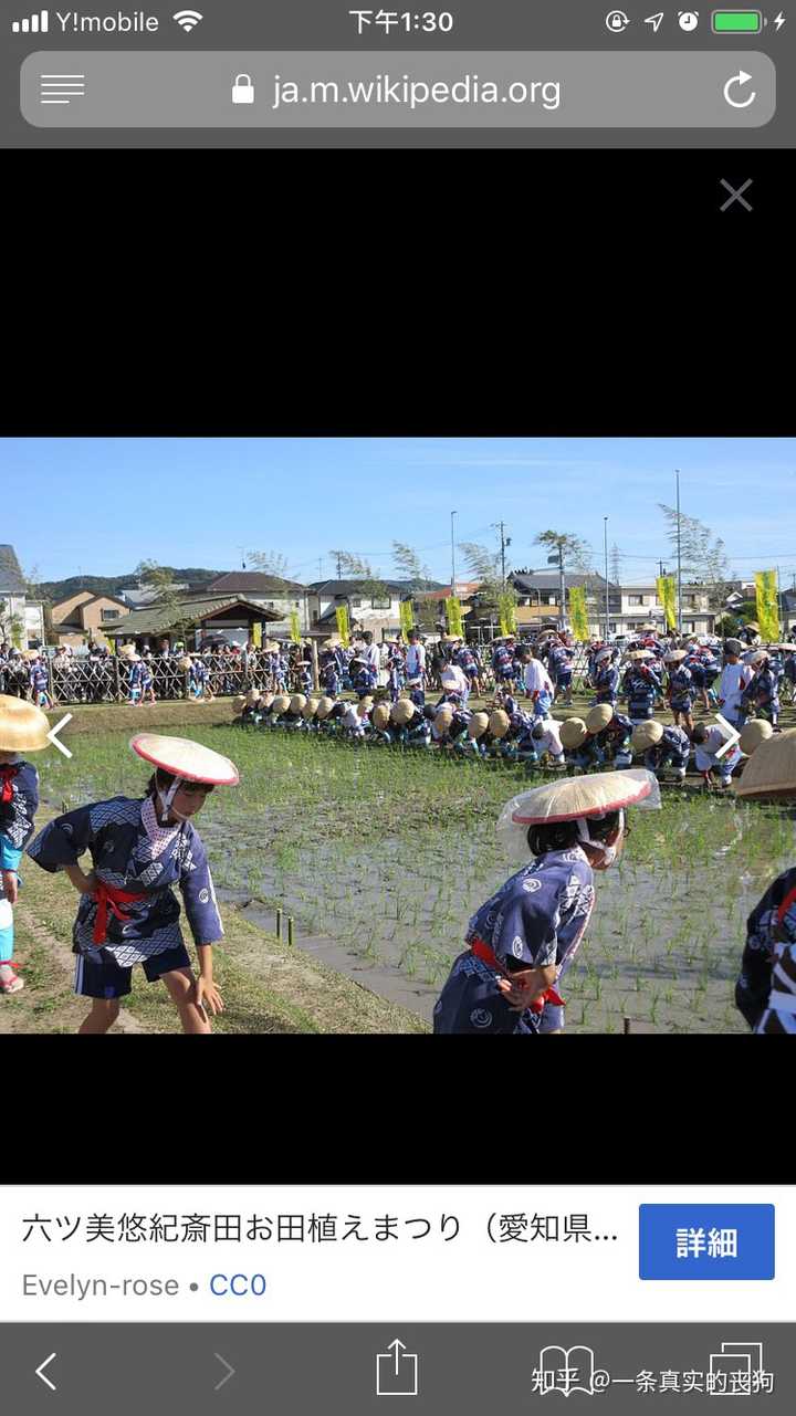 日本的祭典都是怎样的 知乎