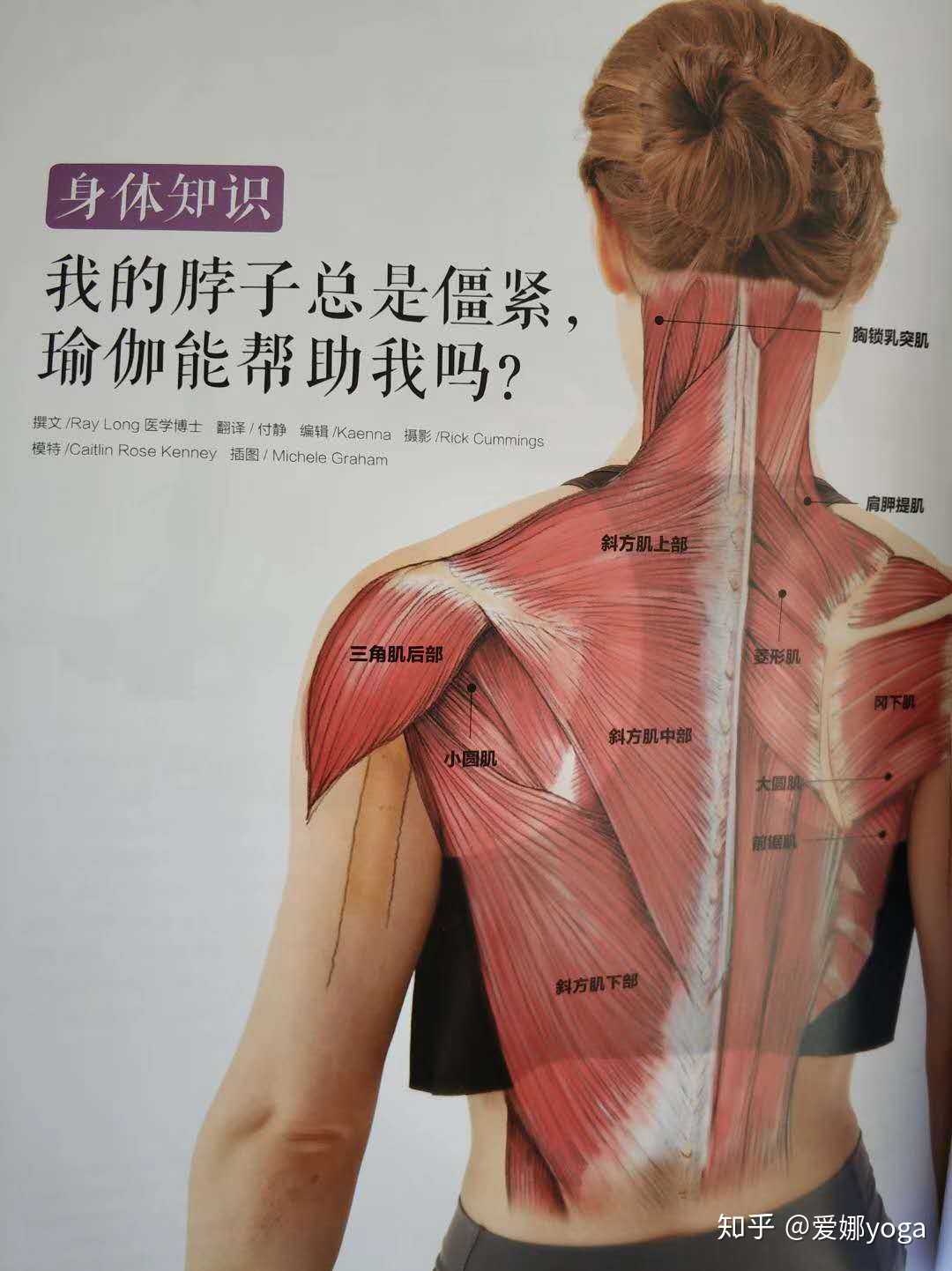 肩颈肌肉图解清晰图片