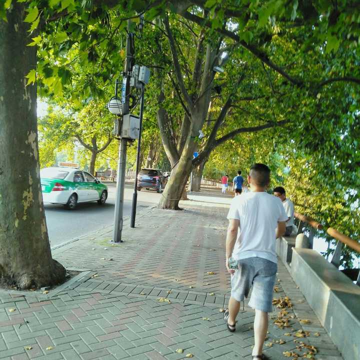 夏天和饭后傍晚和爸爸出来绕湖散步