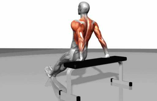 拳的距离,最低处停顿 1 秒 伸臂平缓起身还原 2)反手俯卧撑 动作要点