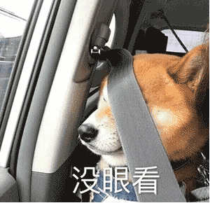 有哪些万能的表情包推荐?