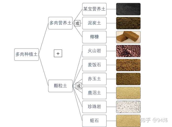 多肉植物的培养土怎么配 知乎