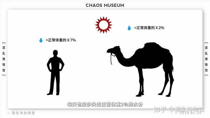 沙漠之舟是什么动物