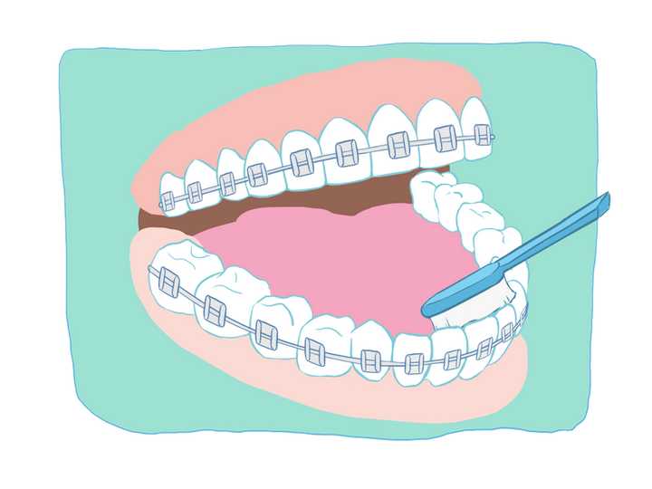 上下前牙位置:刷毛与牙齿成45°角,上下左右打圈圈颤动,然后移动一颗